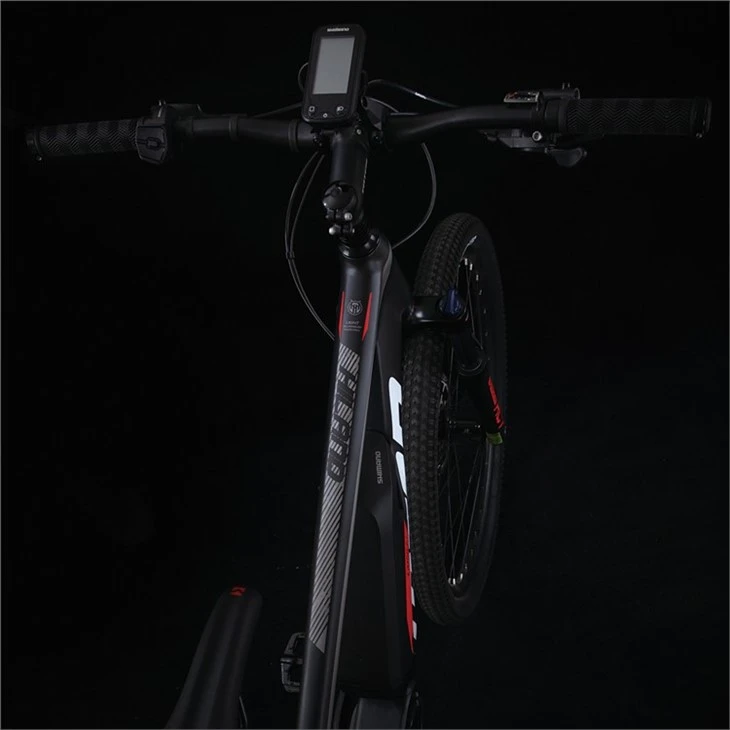 Electric Mountain Bike price