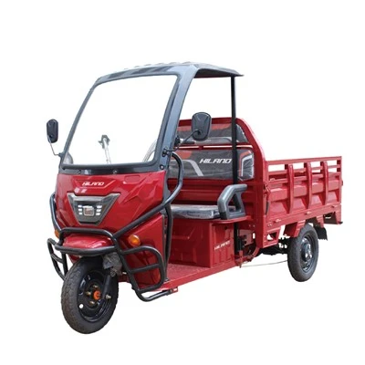 1200W/2000W elektr yuk tashish uch g'ildirakli velosiped